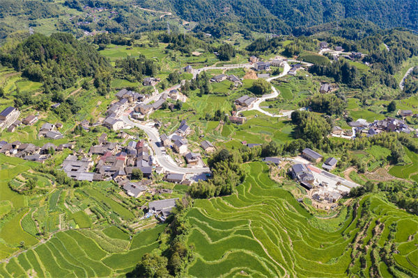 企业薪酬激励乏力，丽水薪酬咨询公司如何激发员工积极性？