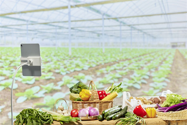 面对市场变化，您的营销团队是否足够灵活应变？