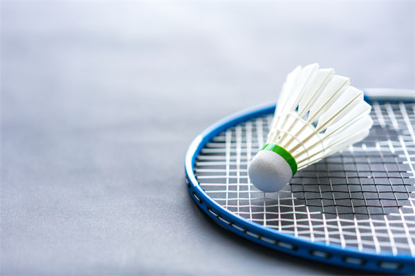 从营销方面分析羽毛球价格2年上涨100%比黄金还猛