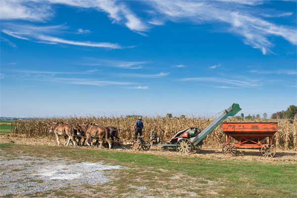 从绩效管理角度分析：中国买巴西大豆让美国农民慌了