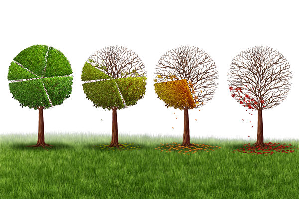 市场份额下滑，是竞品打压，还是营销管理策略过时？