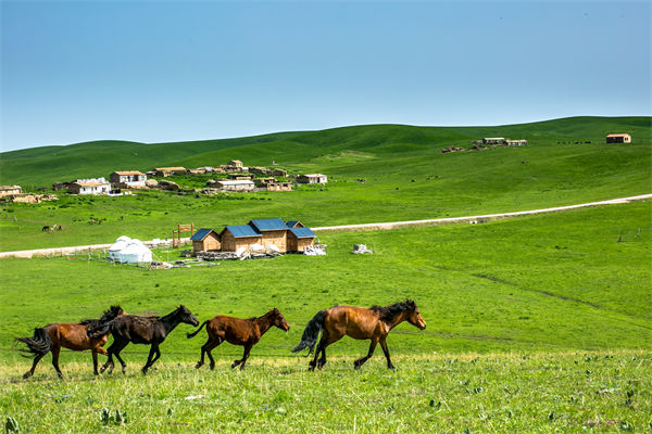 飞新疆的机票价格涨爆了，什么情况？是营销炒作？
