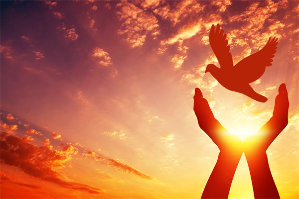 别让盲卡盲盒“收割”孩子，关联企业战略怎么看？