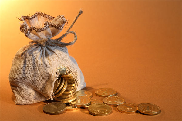 人力资源管理分析：女子挪用公司近1700万买奢侈品