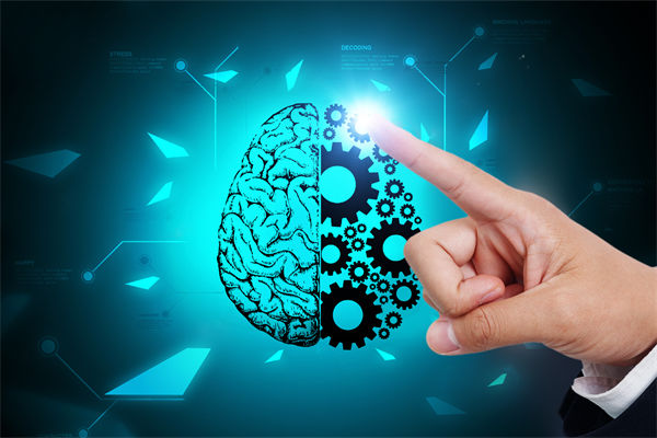 人力资源管理流程规范严谨，员工创造力为何反而受抑制？