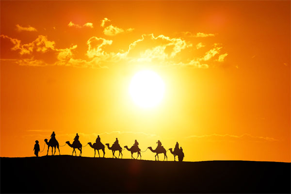 高层标榜的企业文化，如何穿透形式真正落地生根？