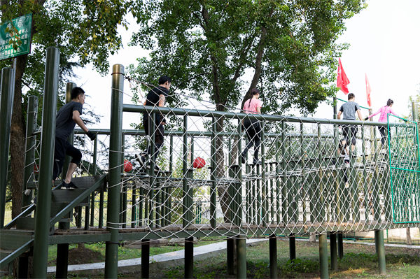 文化活动形式丰富多样，组织凝聚力提升为何缓慢？