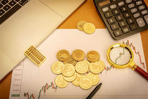 企业预算管理分析：数千元滑雪装备一公司报关几百元