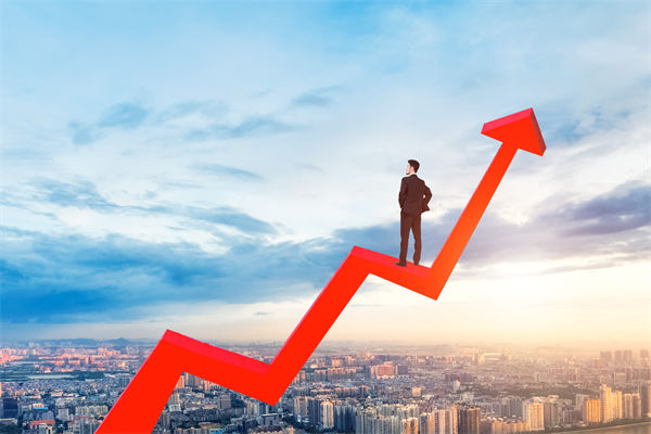 绩效管理咨询公司，能帮企业建立以结果为导向的体系吗？