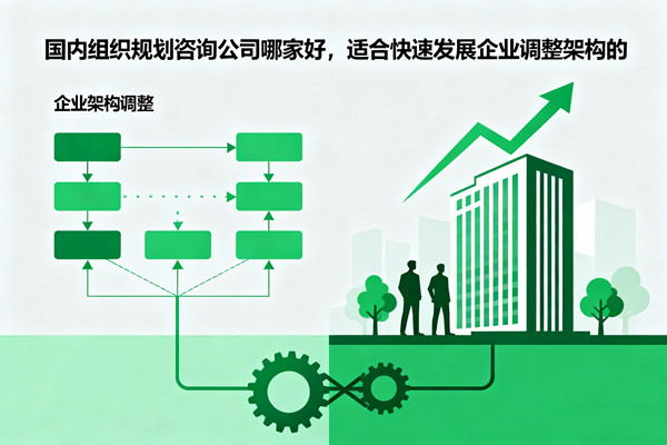 国内组织规划咨询公司哪家好，适合快速发展企业调整架构的