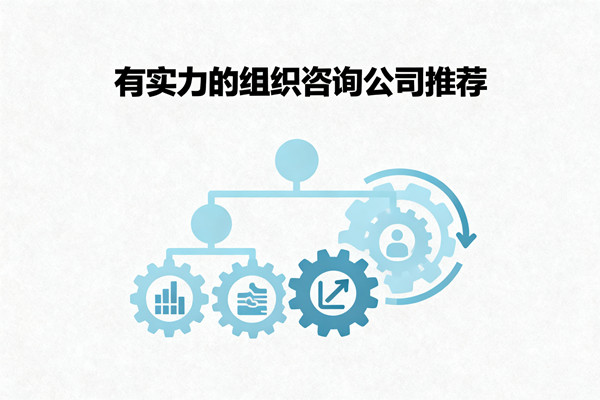 有实力的组织咨询公司推荐