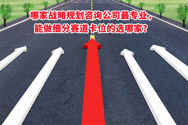 哪家战略规划咨询公司最专业，能做细分赛道卡位的选哪家？