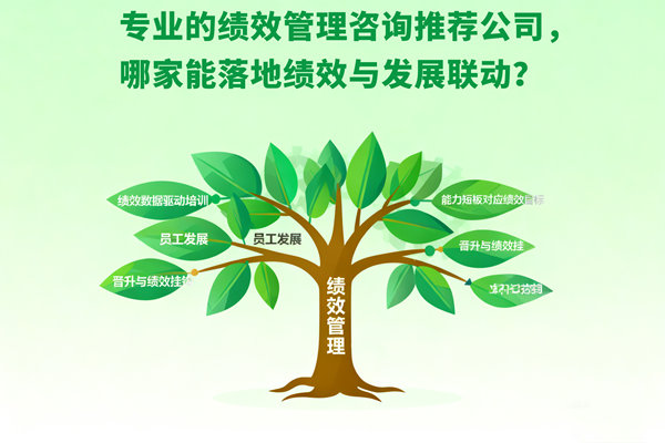 专业的绩效管理咨询推荐公司，哪家能落地绩效与发展联动？
