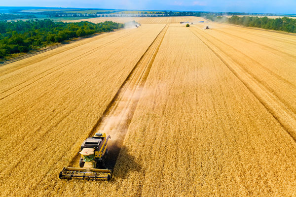 农业行业供应链管理咨询公司推荐，能解农资采购成本高问题吗？